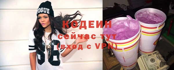 дурь Вяземский