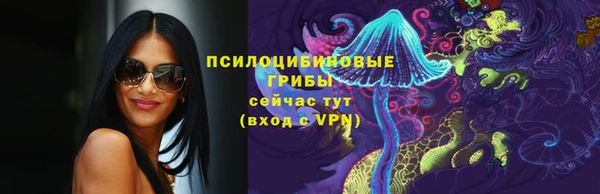 дживик Вязники