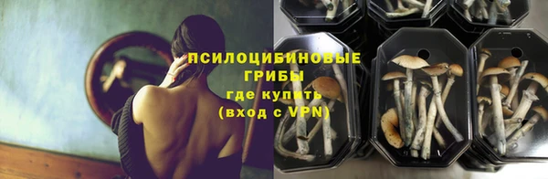 дживик Вязники