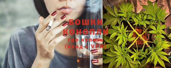 дурь Вяземский