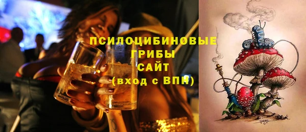 дурь Вяземский