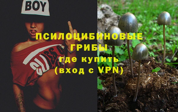 дурь Вяземский