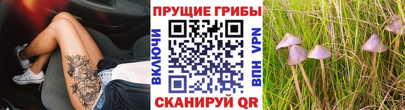 Купить где  Богучар  Галлюциногенные грибы ЛСД 